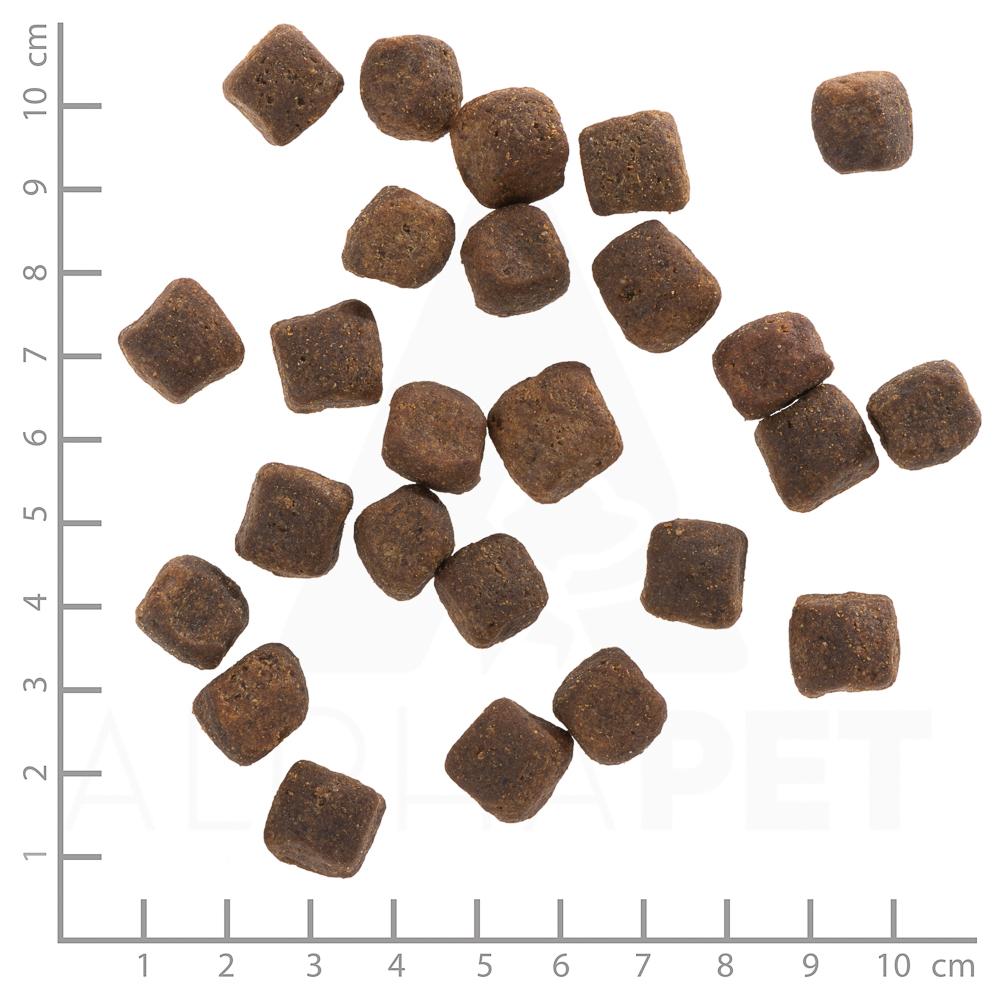 petspremium Wolfsblut Dark Forest - Wild und Süßkartoffel Adult Trockenfutter 2 x 12 5 kg Angebote