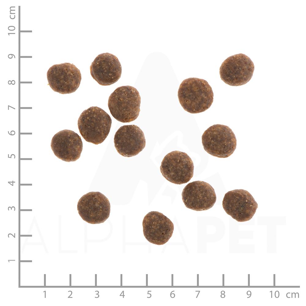 petspremium Wildes Land Ente mit Kartoffeln und Wildkräutern Classic Adult Trockenfutter 2 x 12 kg im Angebot