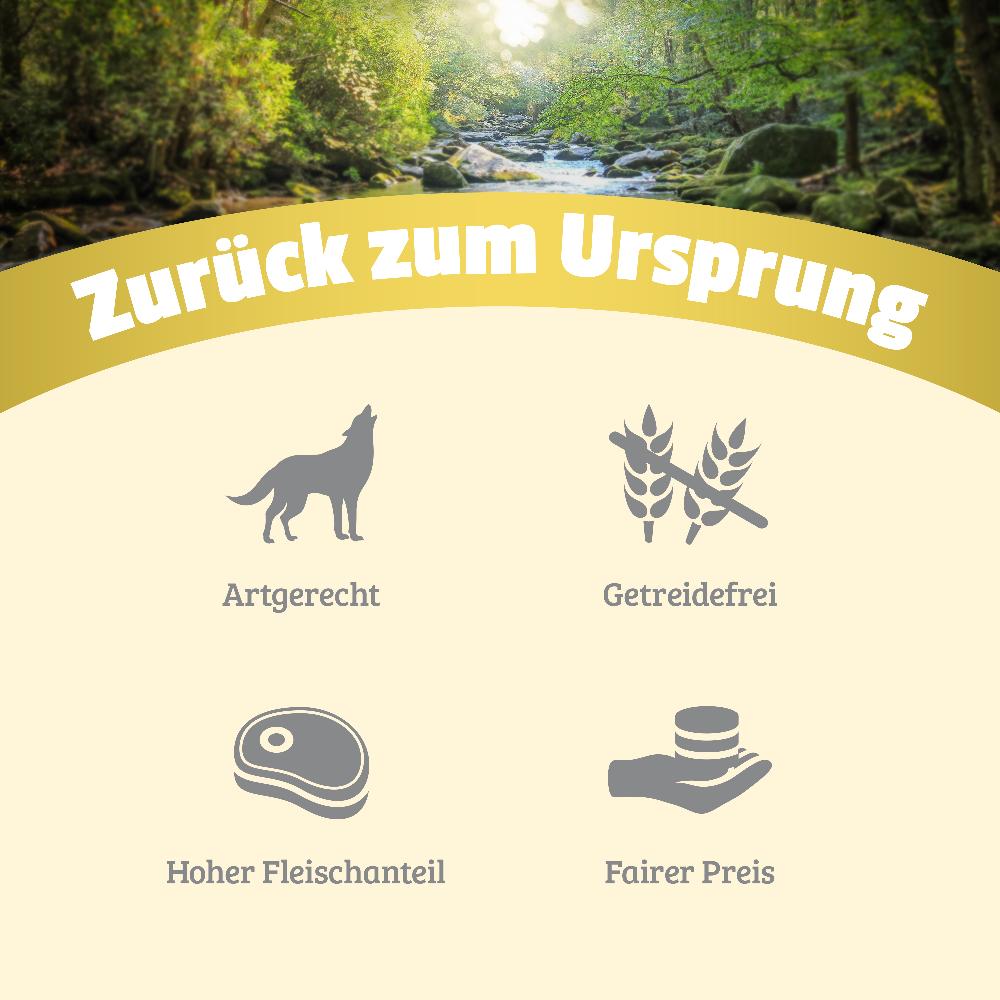 petspremium Natural Lamm mit Süßkartoffeln Heidelbeeren und Leinöl Nassfutter 24 x 800 g Fabrikpreis