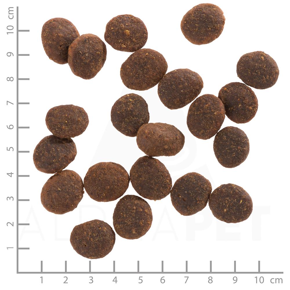 petspremium Wolfsblut Black Marsh - Wasserbüffel mit Süßkartoffel Adult Trockenfutter 12 5 kg Kauf eins, bekomm eins gratis