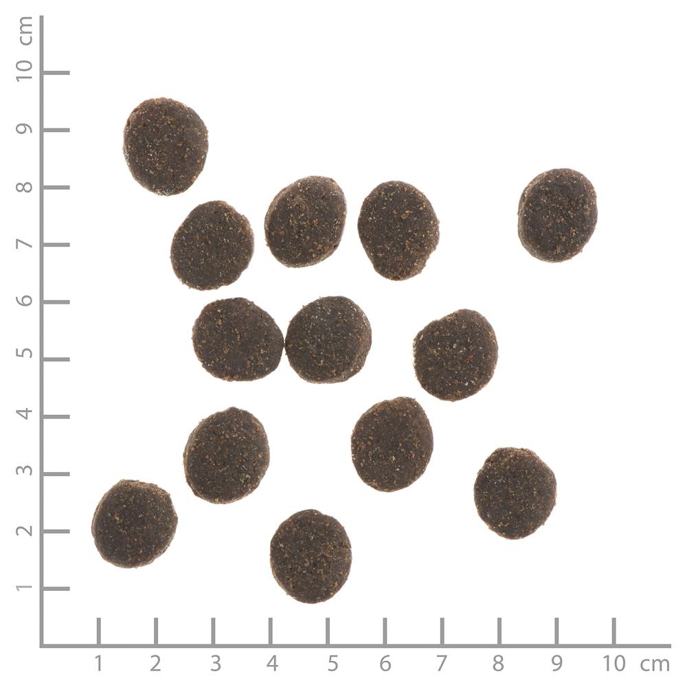 petspremium Wildes Land Kaninchen mit Kartoffeln und Wildkräutern Classic Adult Trockenfutter 12 kg Super Sparpreis
