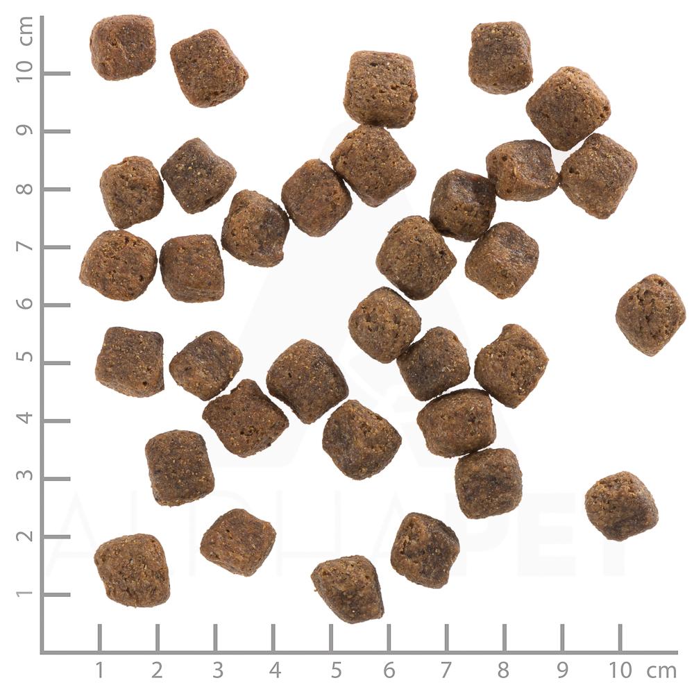 petspremium Wolfsblut Black Bird - Truthahn und Süßkartoffel Adult Trockenfutter 12 5 kg Bis zu 65% Rabatt
