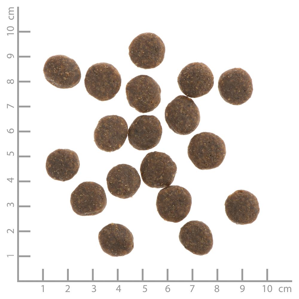 petspremium Wildes Land Forelle und Lachs mit Kartoffeln und Wildkräutern Classic Adult Trockenfutter 2 x 12 kg Auslauf