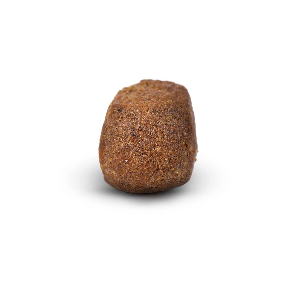 petspremium Arden Grange Premium Reich an frischem Huhn & Reis Trockenfutter 12 kg Saisonschlussverkauf