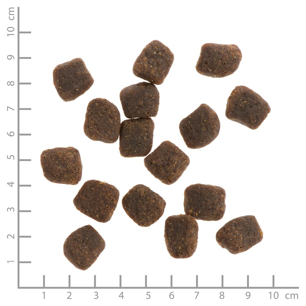petspremium Wildes Land Truthahn und Lachs mit Reis und Wildkräutern Soft Adult Trockenfutter 30 kg Neueste Mode