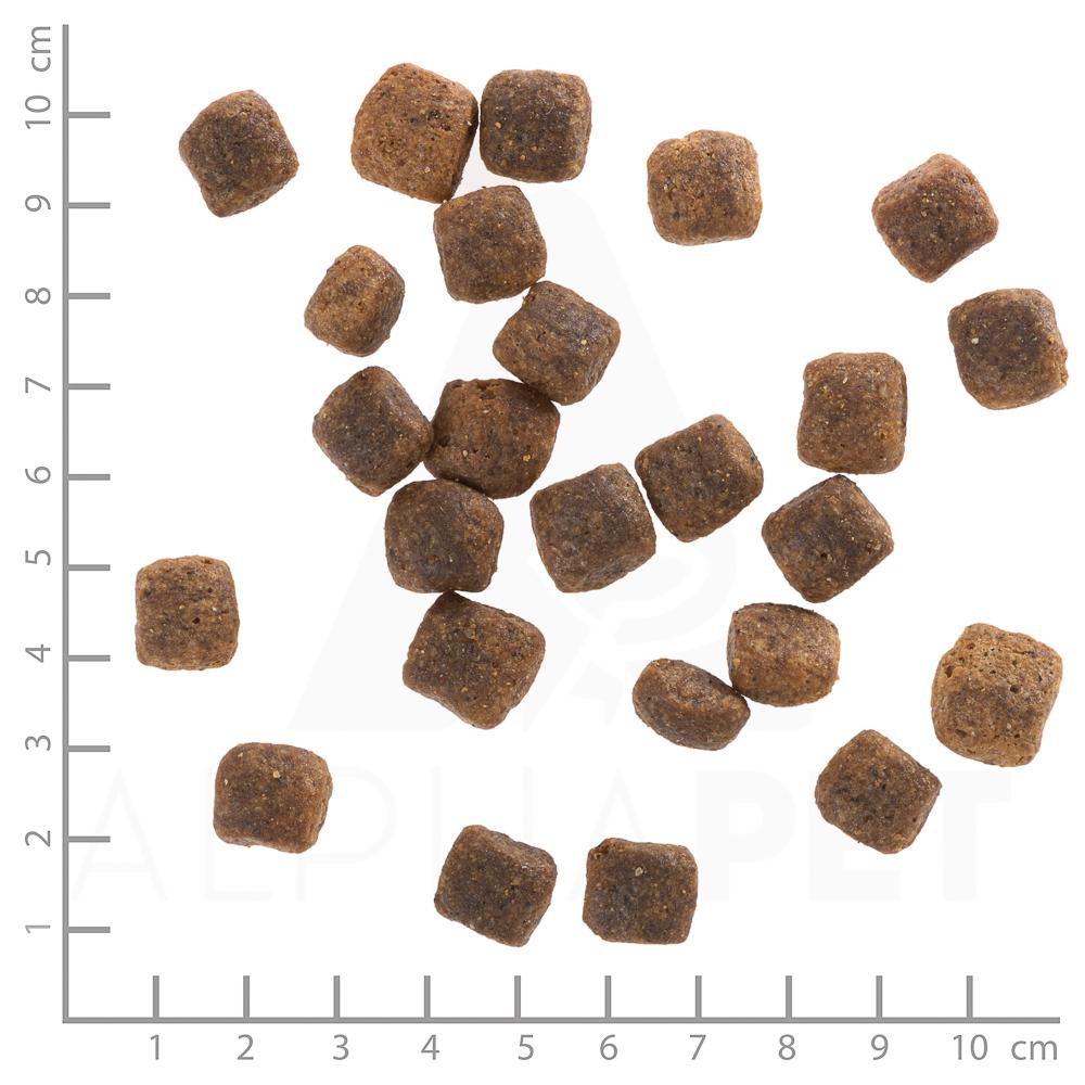 petspremium Wolfsblut Wide Plain - Pferdefleisch und Süßkartoffel Senior Trockenfutter 3 x 2 kg Weihnachtsangebot