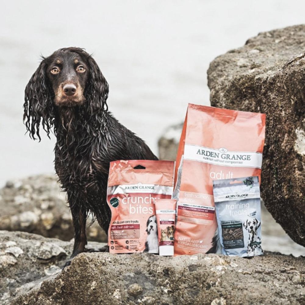 petspremium Arden Grange Adult mit frischem Lachs & Reis Trockenfutter 12 kg Saisonale Angebote