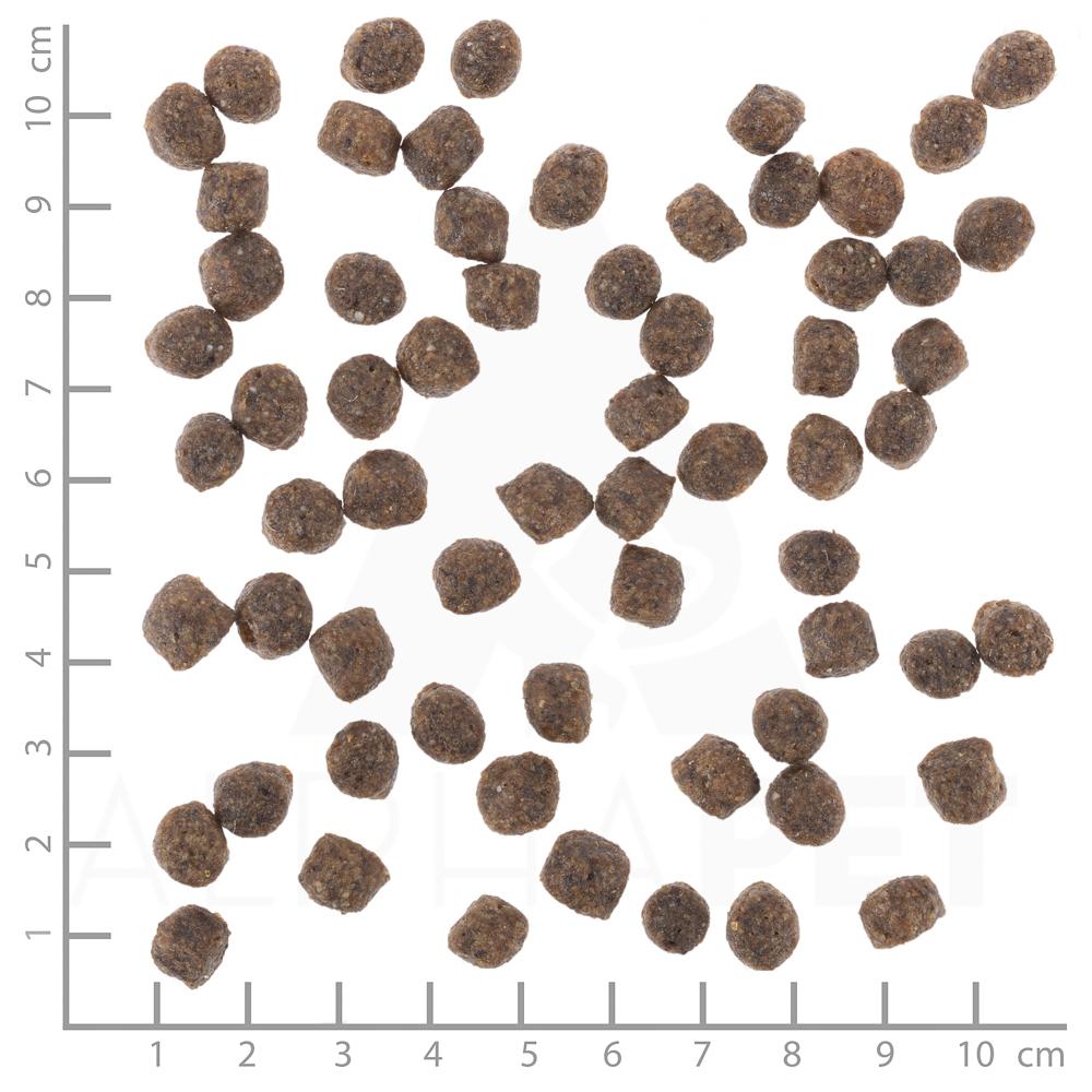 petspremium Wolfsblut Range Lamb - Lamm und Vollkornreis Small Breed Trockenfutter 3 x 2 kg Kostenloser Versand international
