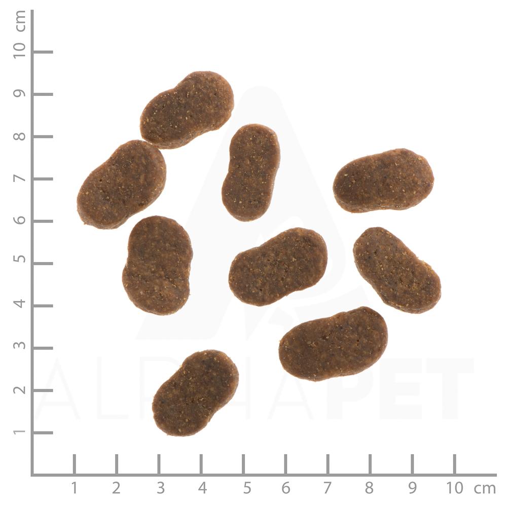 petspremium Wildes Land Lamm und Lachs mit Kartoffeln und Wildkräutern Classic Adult Trockenfutter 12 kg Rabatte dieses Monats