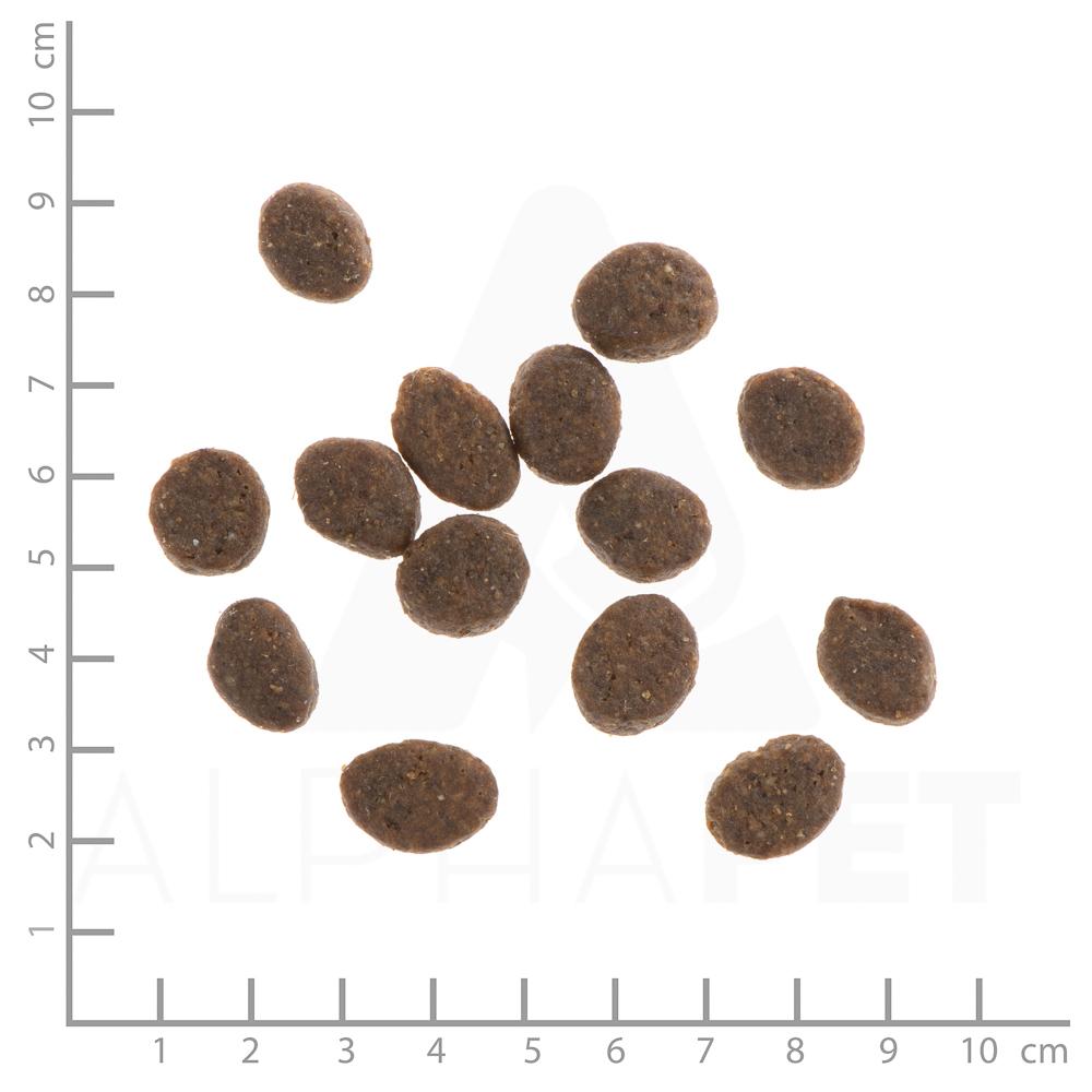 petspremium Wildes Land Lamm mit Reis und Wildkräutern Classic Adult Trockenfutter 2 x 12 kg Günstiger Verkauf