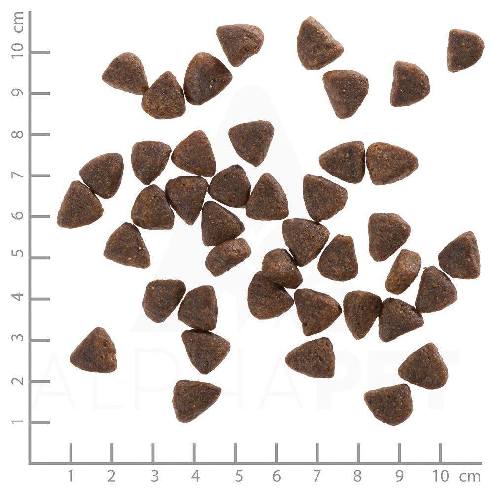 petspremium Wolfsblut Wide Plain - Pferdefleisch und Süßkartoffel Small Breed Trockenfutter 2 kg Jubiläumsangebot