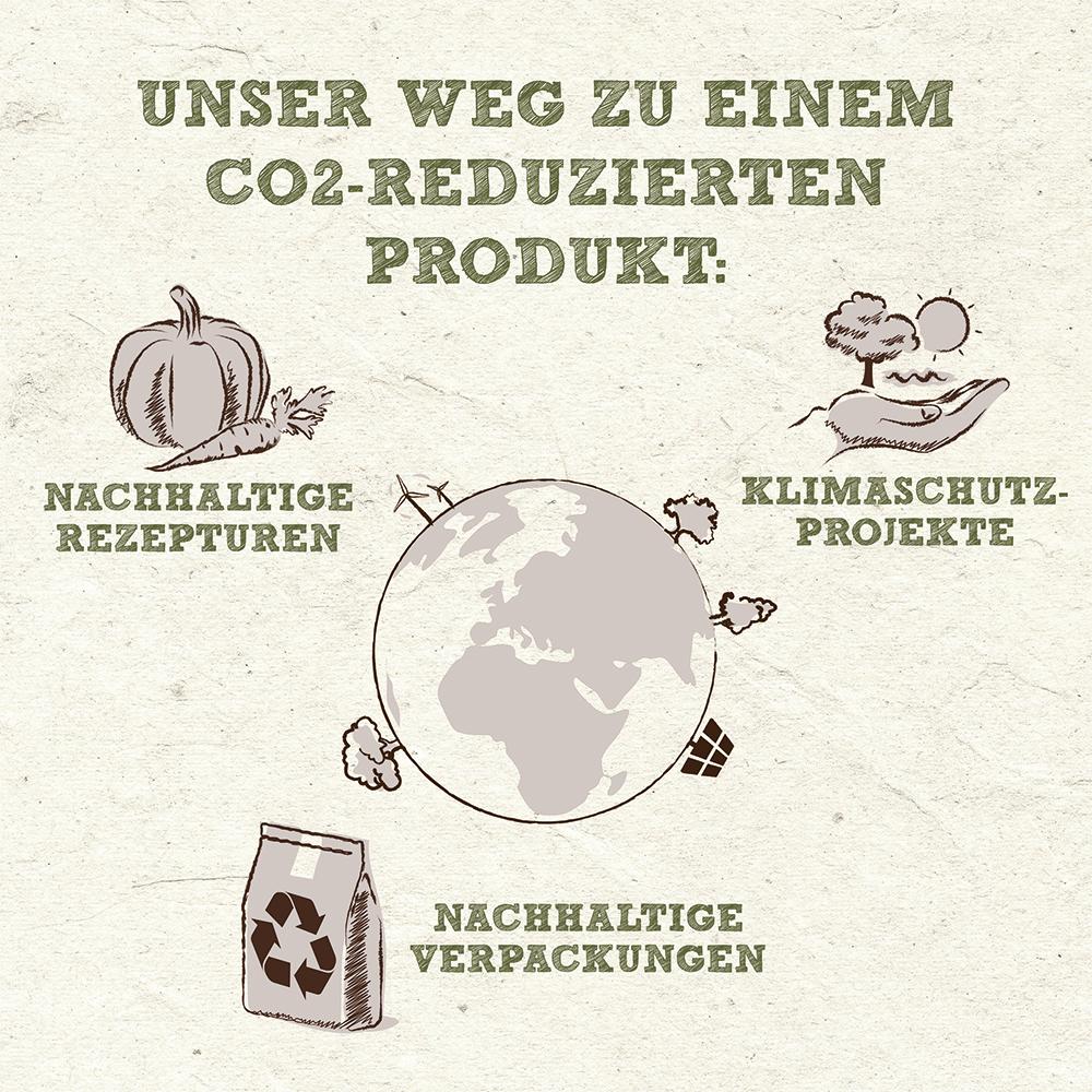 petspremium Wildes Land PAWPRINT VEGGIE Kürbis & Karotte mit frischem Gemüse & Wildkräutern Adult Trockenfutter 10 kg Riesige Ersparnisse
