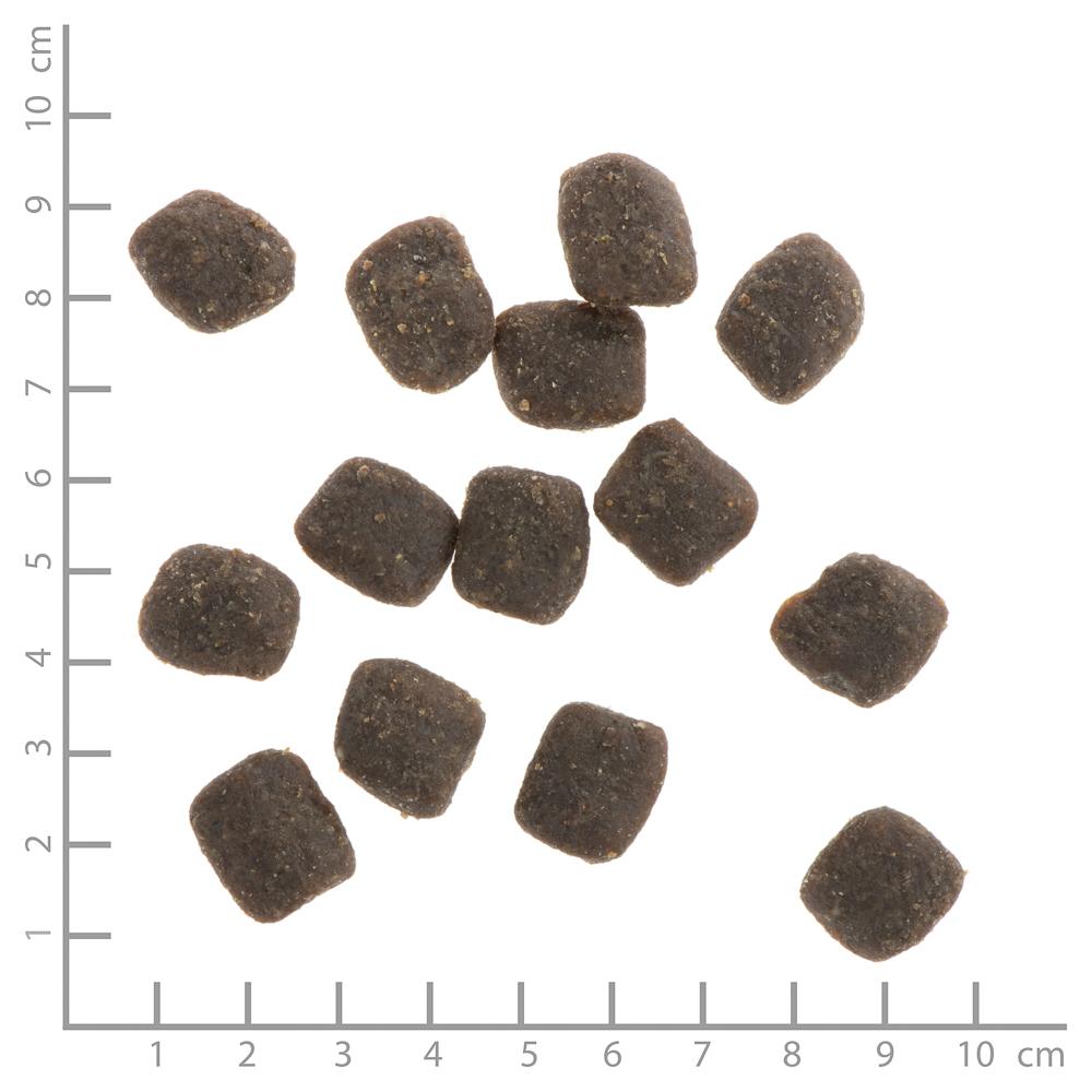 petspremium Wildes Land Rind mit Reis und Wildkräutern Soft Adult Trockenfutter 5 kg Zeitbegrenzte Promotion