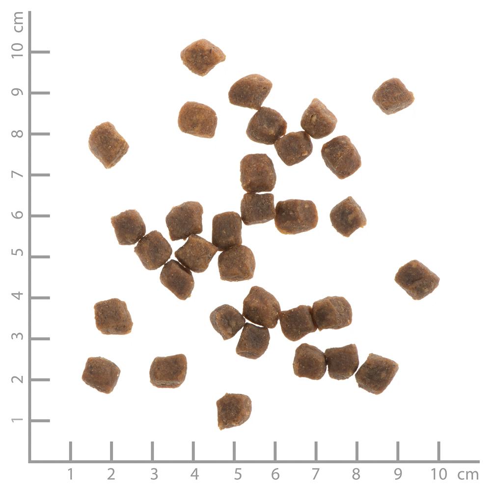 petspremium Wildes Land Huhn mit Reis und Wildkräutern Soft Puppy Trockenfutter 3 x 5 kg Super Rabatt