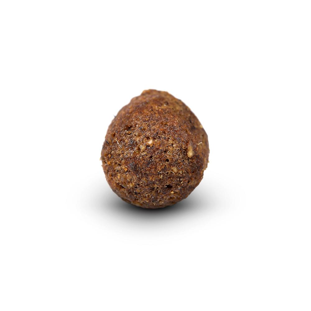 petspremium Arden Grange Adult mit frischem Lammfleisch & Reis Trockenfutter 2 x 12 kg Kostenloser Versand international