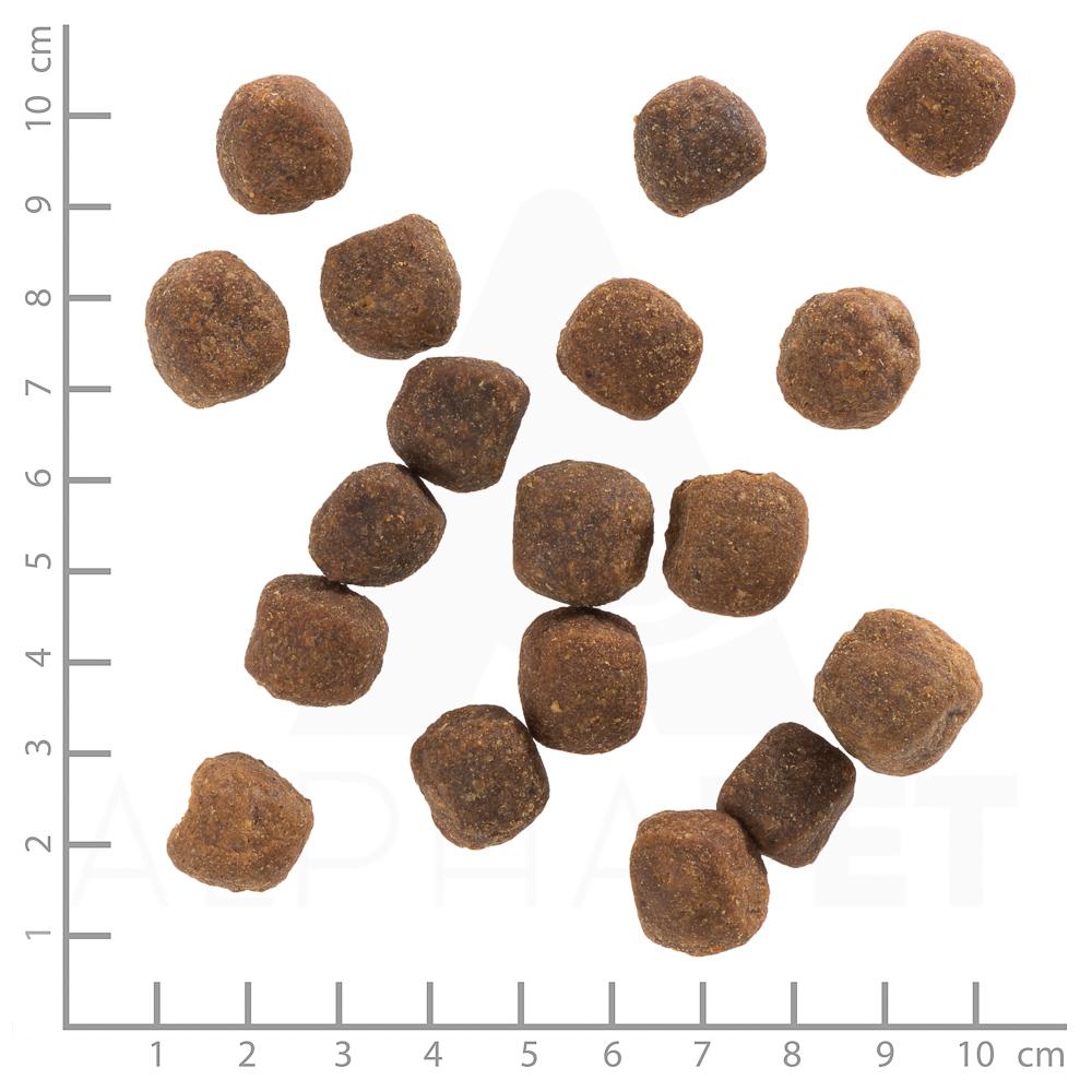 petspremium Wolfsblut Wild Duck - Ente und Kartoffel Adult Trockenfutter 500 g Schlussverkauf