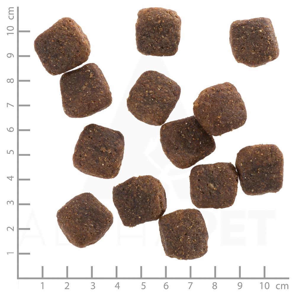 petspremium Wolfsblut Wild Duck - Ente und Kartoffel Large Breed Trockenfutter 2 kg Heißer Verkauf