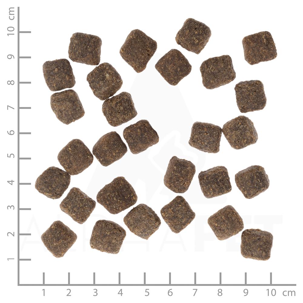 petspremium Wolfsblut Dark Forest - Wild und Süßkartoffel Small Breed Trockenfutter 2 kg Kostenloser Versand international