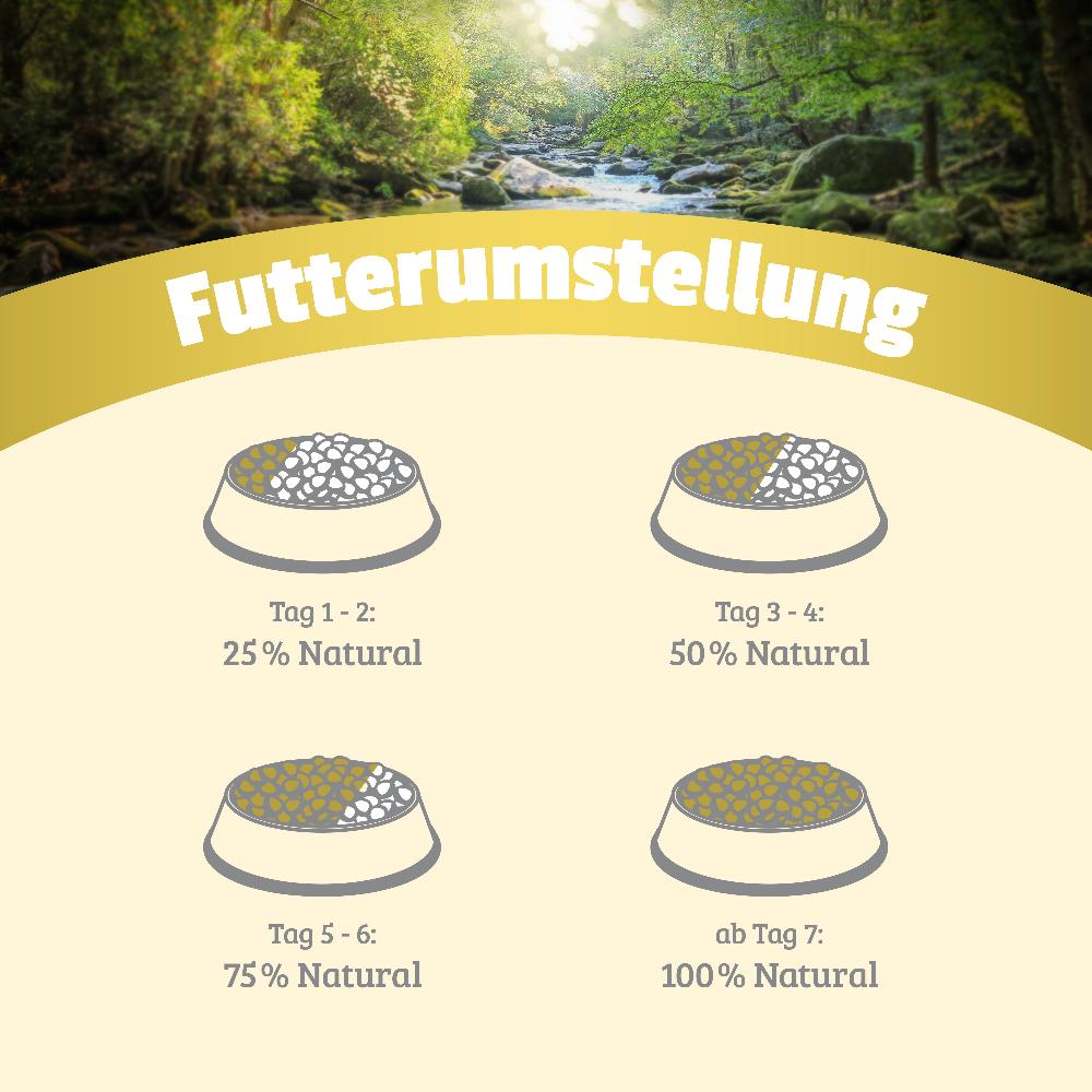 petspremium Natural Probe-Paket Hund Nassfutter 6 x 800 g Black Friday Preise