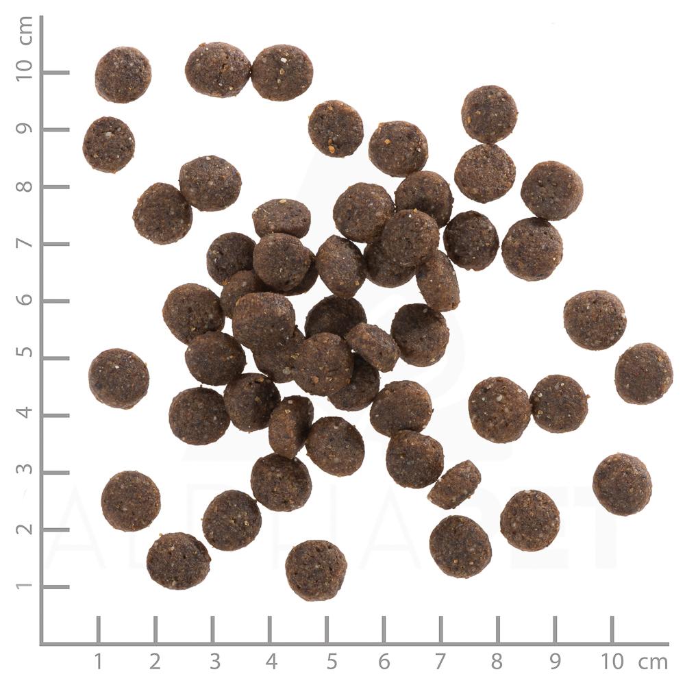 petspremium Wolfsblut Range Lamb - Lamm und Vollkornreis Puppy Trockenfutter 2 kg Begrenztes Angebot