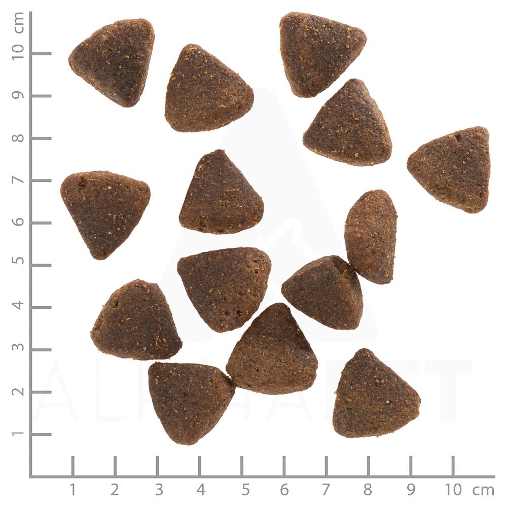 petspremium Wolfsblut Wild Duck - Ente und Kartoffel Large Breed Puppy Trockenfutter 3 x 2 kg VIP-Rabatte