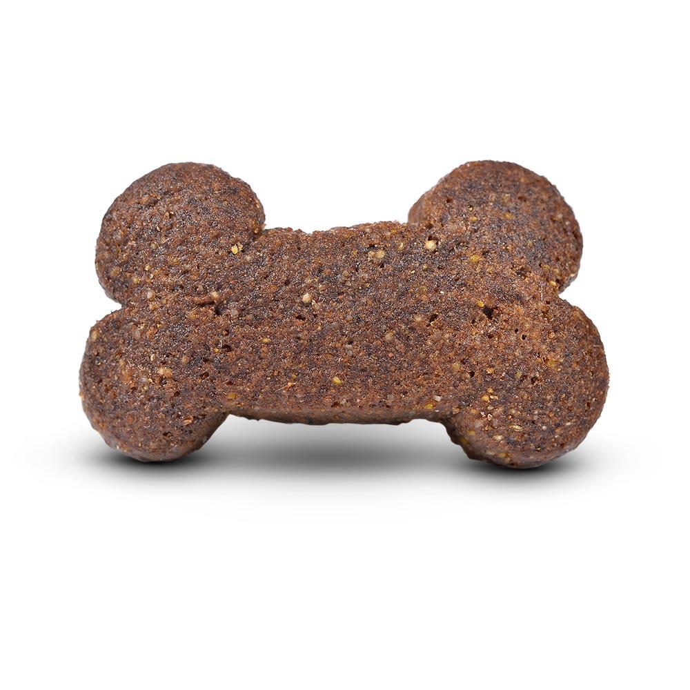 petspremium Arden Grange Crunchy Bites mit ozeanischem Weißfisch & Kartoffel getreidefrei Sensitive Snack 10 x 225 g Super Sparpreis