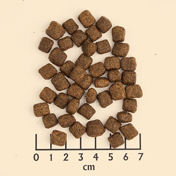 petspremium Wolfsblut Black Bird - Truthahn und Süßkartoffel Senior Trockenfutter 3 x 2 kg Schlussverkauf