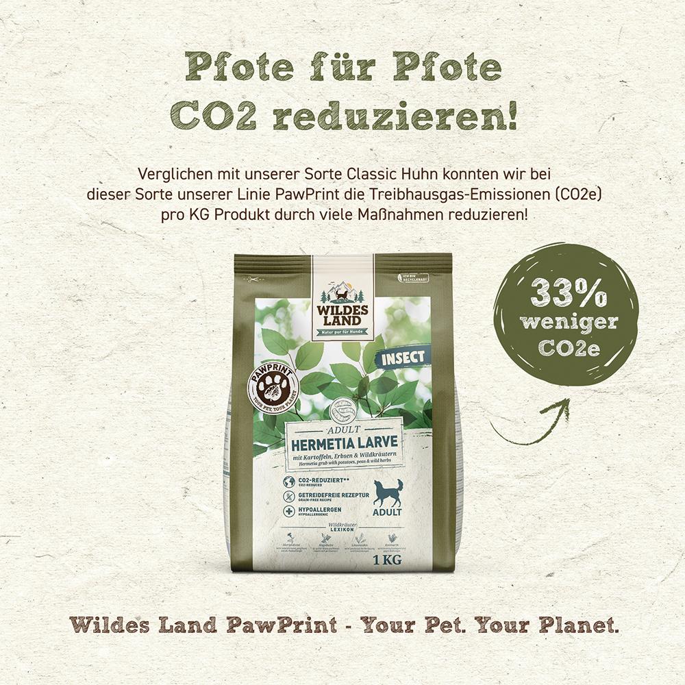 petspremium Wildes Land PAWPRINT INSECT Hermetia Larve mit Kartoffeln Erbsen und Wildkräutern Adult Trockenfutter 1 kg Blitzverkäufe