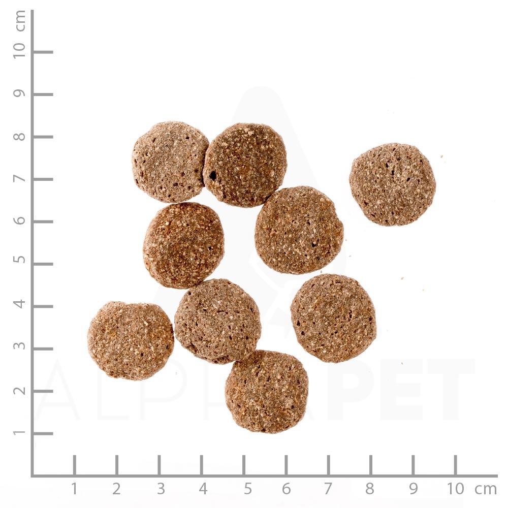 petspremium Natural Wild Woods Trockenfutter 1 kg Flash Sale