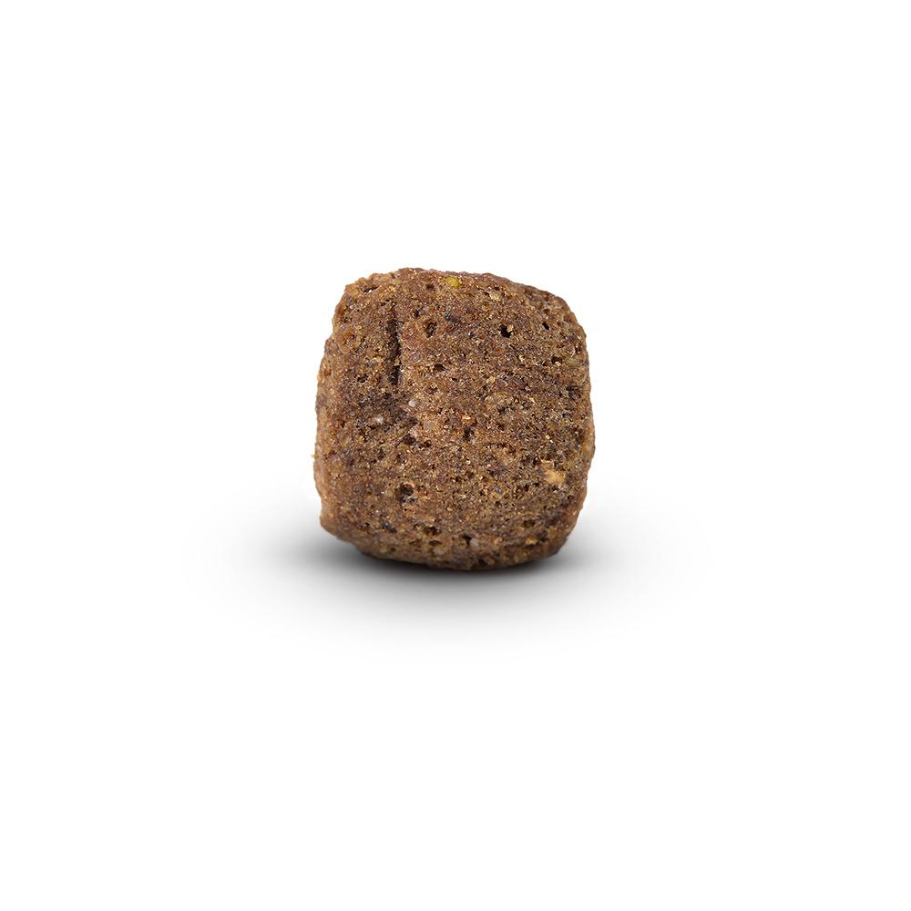 petspremium Arden Grange Senior mit frischem Huhn & Reis Trockenfutter 4 x 2 kg Cyber Monday