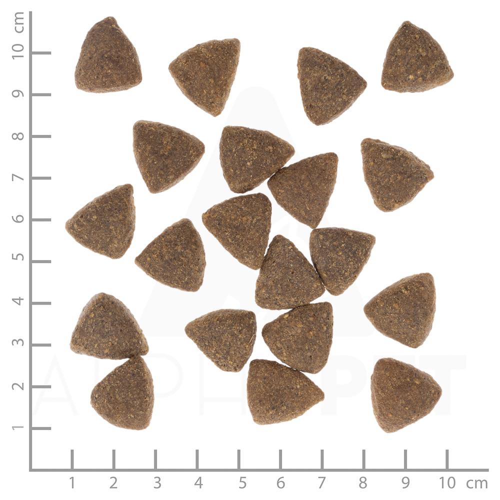 petspremium Wolfsblut Dark Forest - Wild und Süßkartoffel Large Breed Trockenfutter 2 kg Letzte 2 Tage