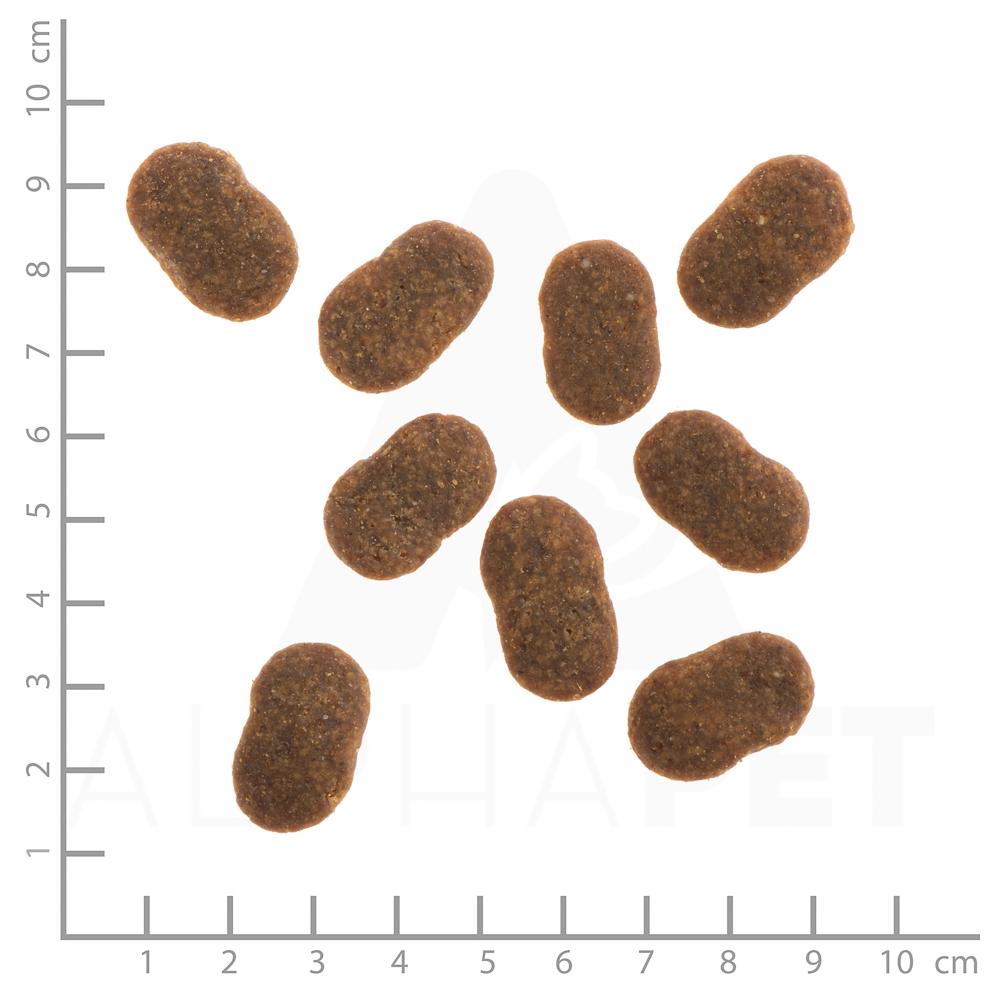 petspremium Wildes Land Rind mit Kartoffeln und Wildkräutern Classic Adult Trockenfutter 4 x 1 kg 50% Rabatt mit kostenlosem Versand