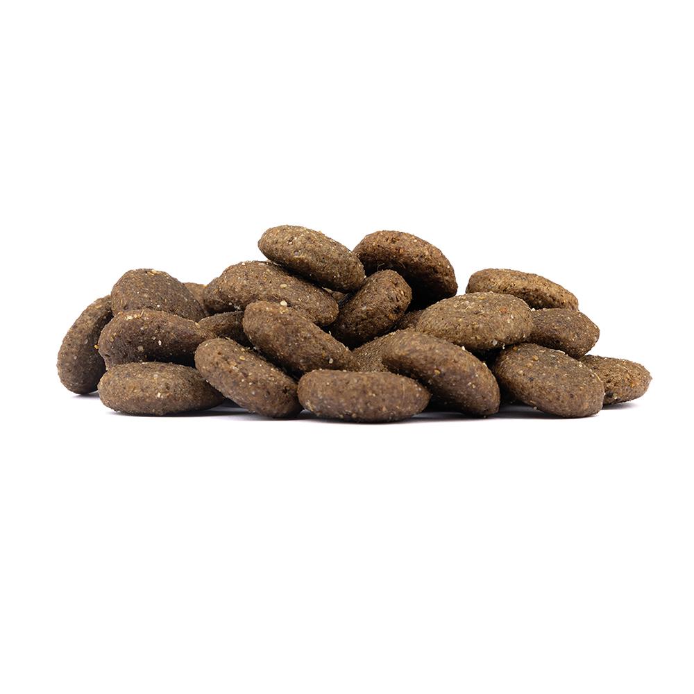 petspremium Wolfsblut Range Lamb - Lamm und Vollkornreis Large Breed Trockenfutter 2 kg Online