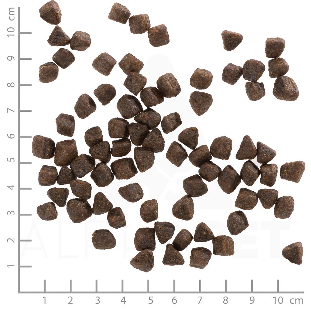 petspremium Wolfsblut Cold River - Forelle und Süßkartoffel Puppy Trockenfutter 2 kg Schlussverkauf