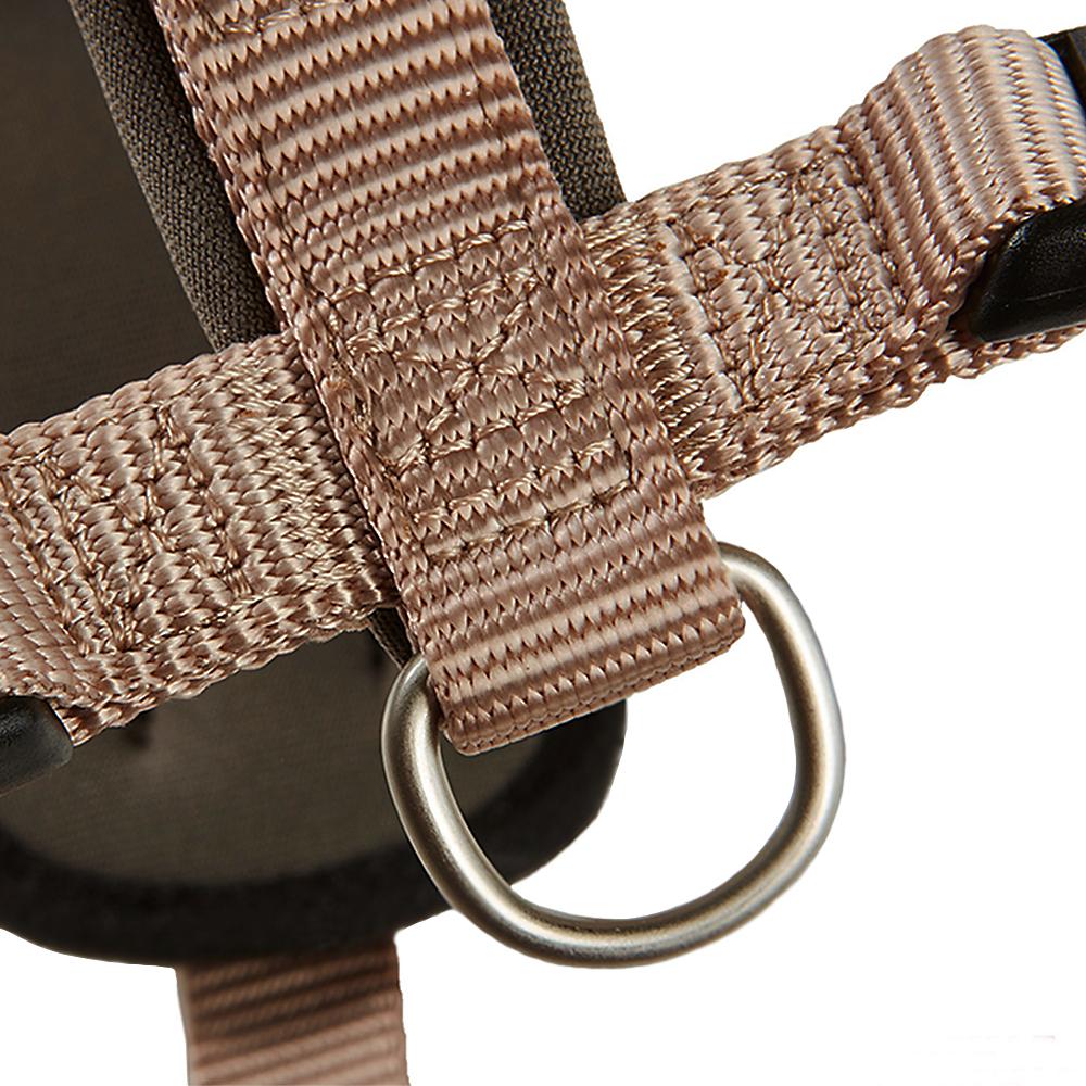 petspremium Wolters Professional Comfort champagner/trüffel Halsband & Geschirr 3 / 50 - 60 cm x 30 mm Hotsell