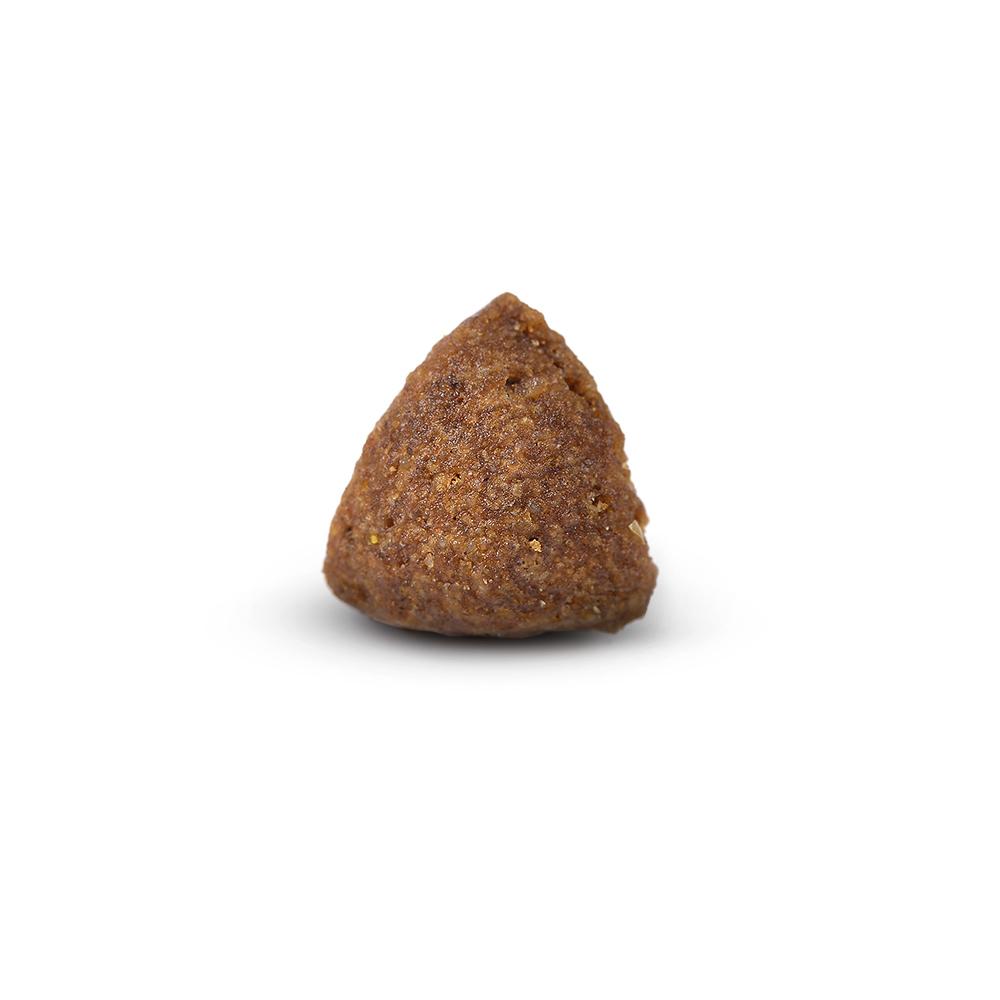 petspremium Arden Grange Mini Adult mit frischem Huhn & Reis Trockenfutter 2 kg im Angebot