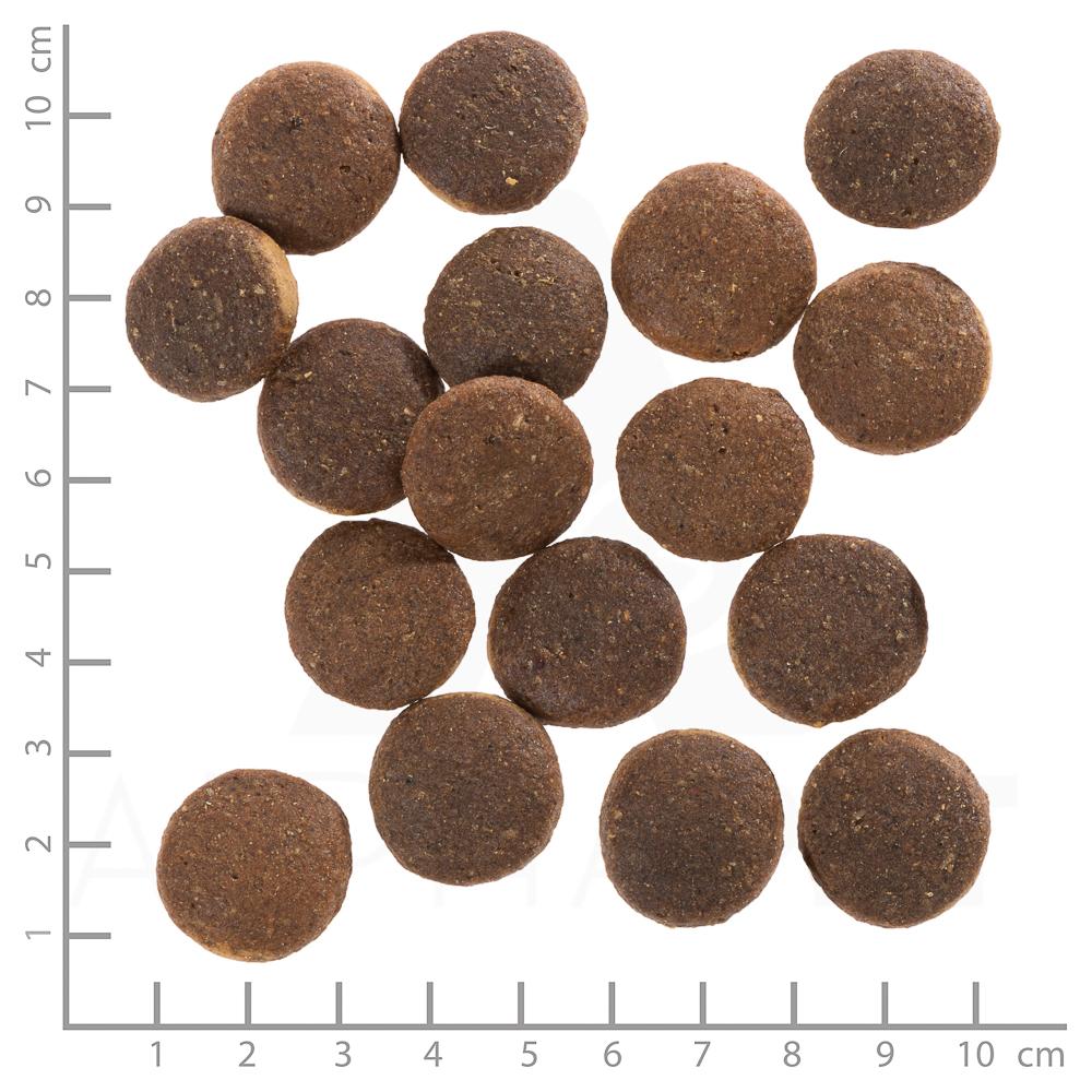 petspremium Wolfsblut Red Rock - Kängurufleisch und Süßkartoffeln Adult Trockenfutter 2 kg Vatertagsangebot