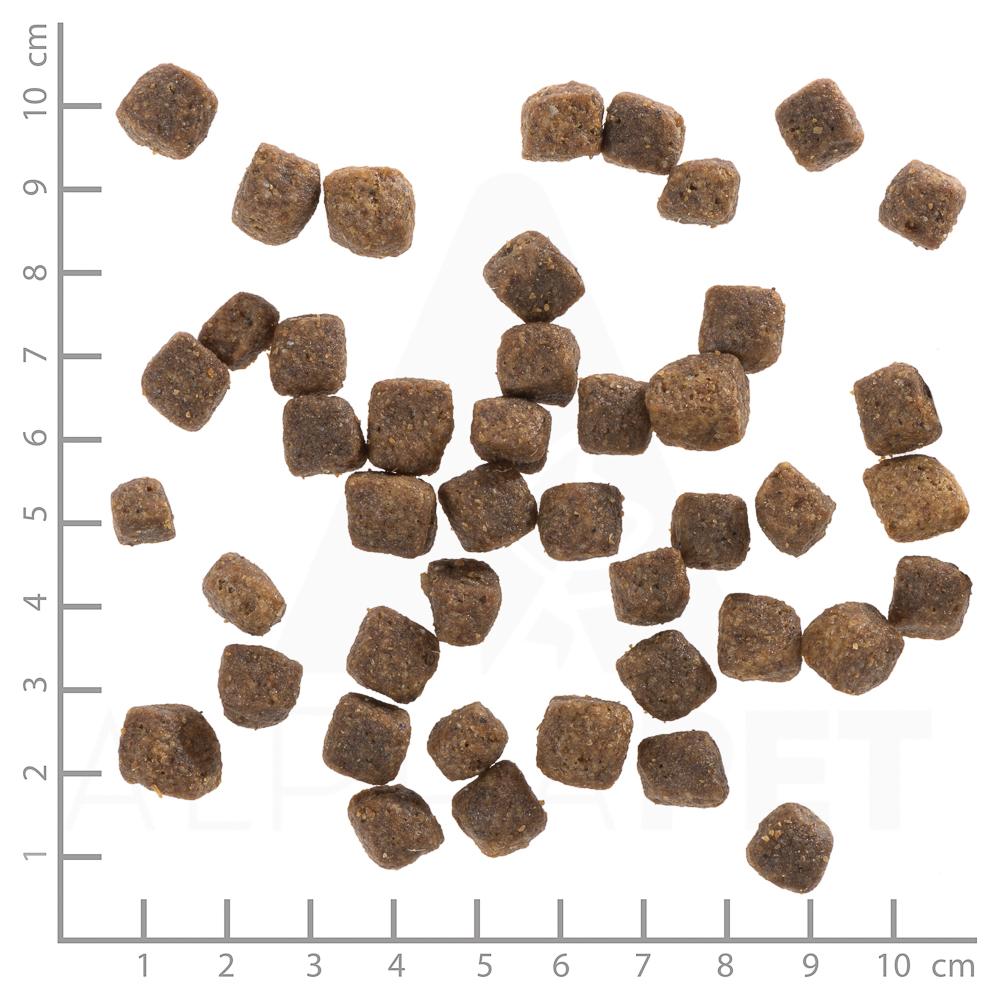 petspremium Wolfsblut Deep Glade - Rothirsch und Wasserbüffel Puppy Trockenfutter 2 kg Blitzangebot