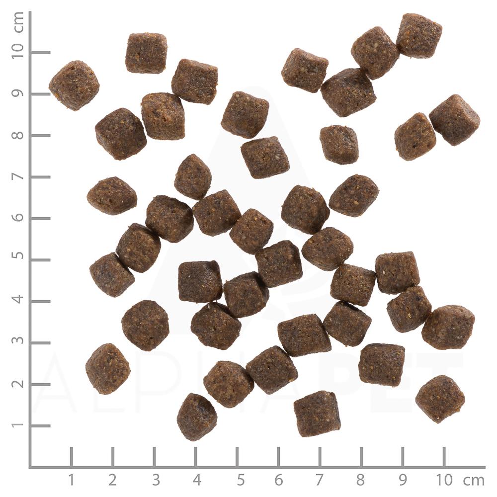 petspremium Wolfsblut Black Bird - Truthahn und Süßkartoffel Puppy Trockenfutter 2 kg Riesige Ersparnisse