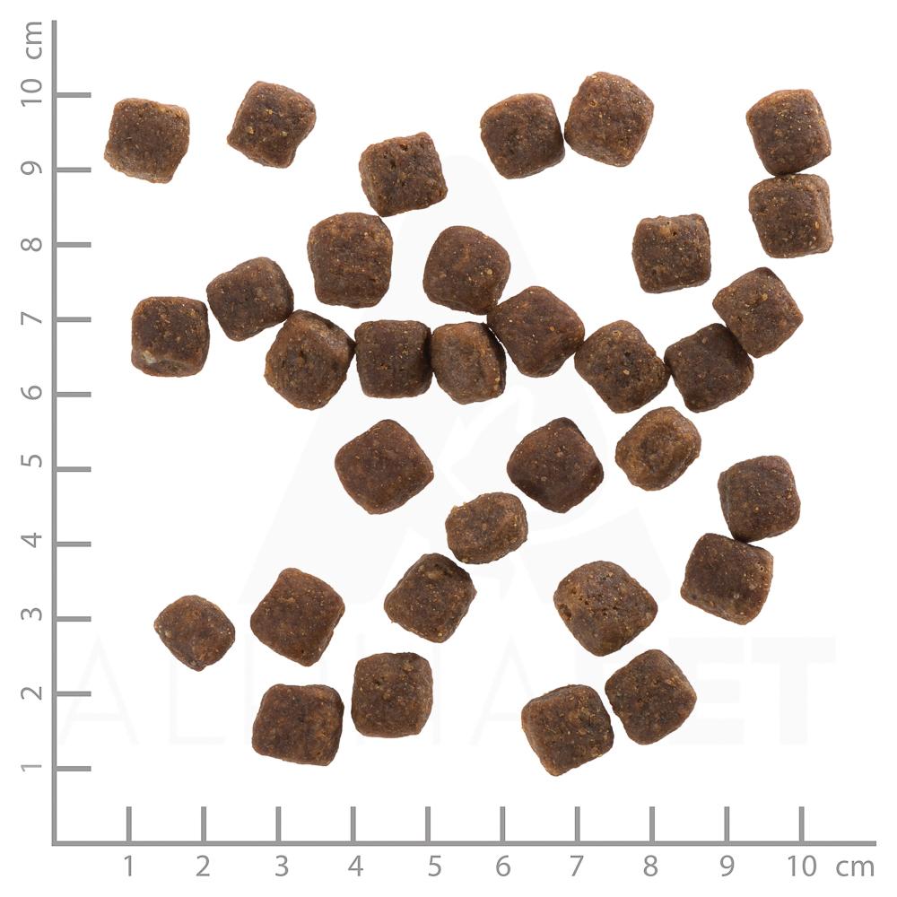 petspremium Wolfsblut Wild Duck - Ente und Kartoffel Puppy Trockenfutter 2 kg Begrenzte Freigabe