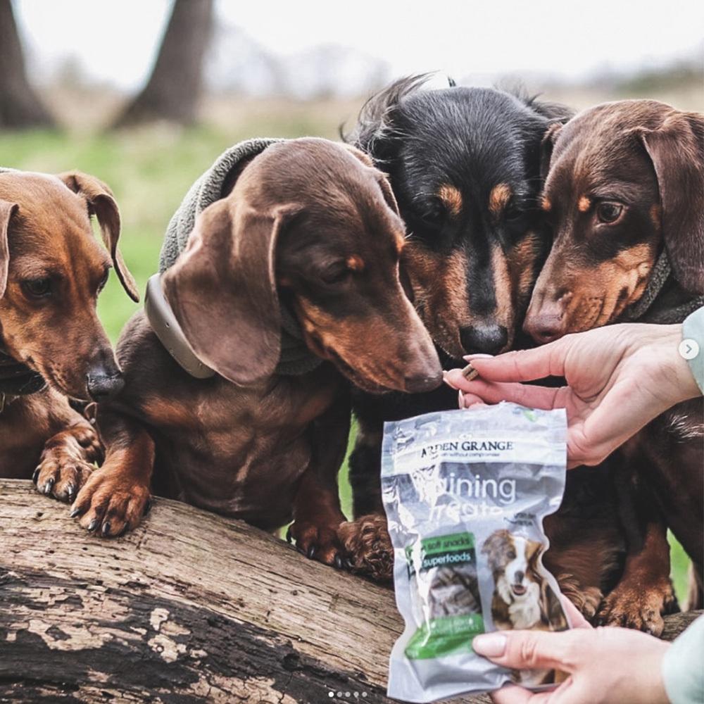 petspremium Arden Grange Grain Free - Mit Lamm und Superfoods Training Treats Snack 80 g Kostenloser Versand