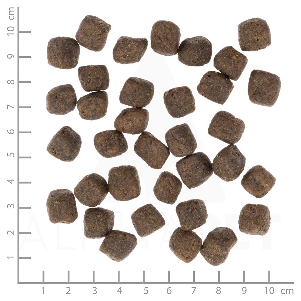 petspremium Wolfsblut Dark Forest - Wild und Süßkartoffel Light Trockenfutter 500 g Vatertagsangebot