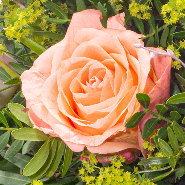 floraprima Blumenstrauß Frühlingsherz mit Vase & Ferrero Giotto 3er