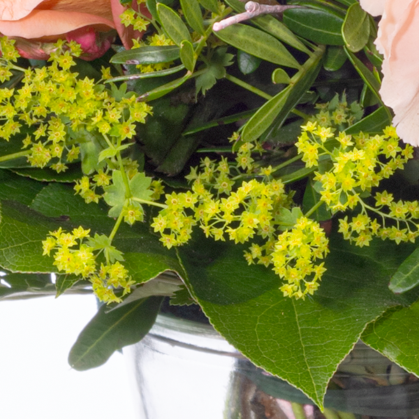 floraprima Blumenstrauß Frühlingsherz mit Vase & Ferrero Giotto 3er Speichern exportieren