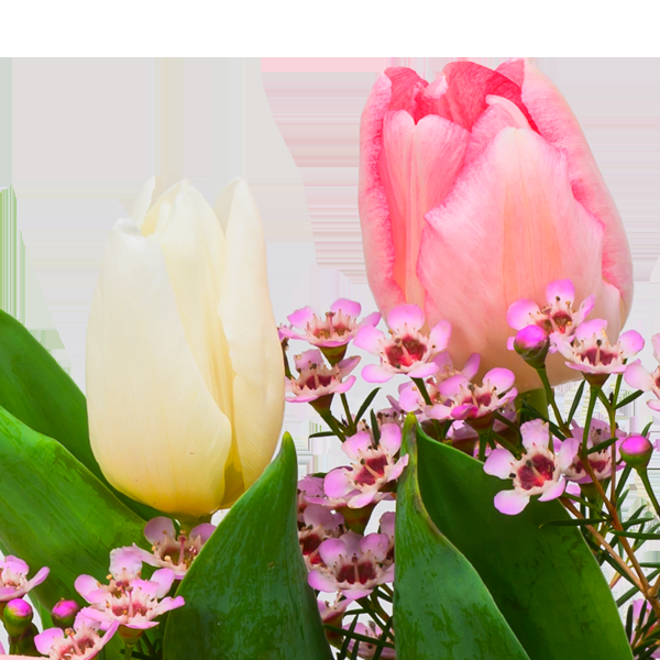 floraprima Arrangement Frühlingskuss mit Ferrero Giotto 3er