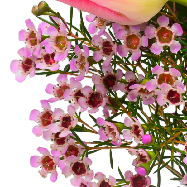 floraprima Arrangement Frühlingskuss mit Ferrero Giotto 3er Verkauf