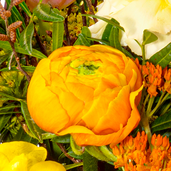 floraprima Blumenstrauß Frühlingsstrahl mit Vase & Ferrero Giotto 3er Hotsell