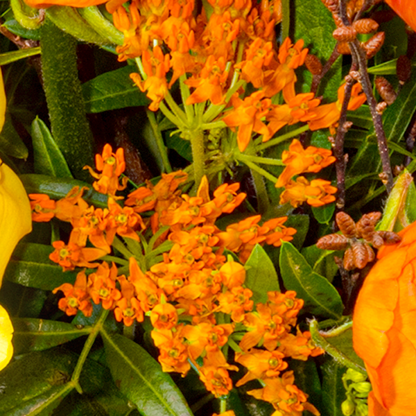 floraprima Blumenstrauß Frühlingsstrahl mit Vase & Ferrero Giotto 3er Hotsell