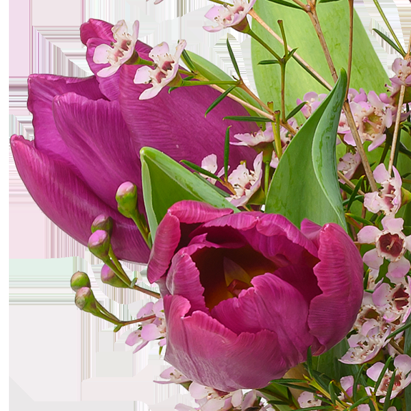 floraprima Arrangement Romanze mit Ferrero Giotto 3er