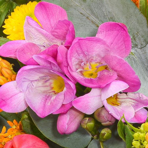 floraprima Premiumstrauß Lebensfreude mit Premiumvase & Ferrero Giotto 3er Günstiger Verkauf